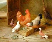 unknow artist poultry  141 oil painting picture wholesale